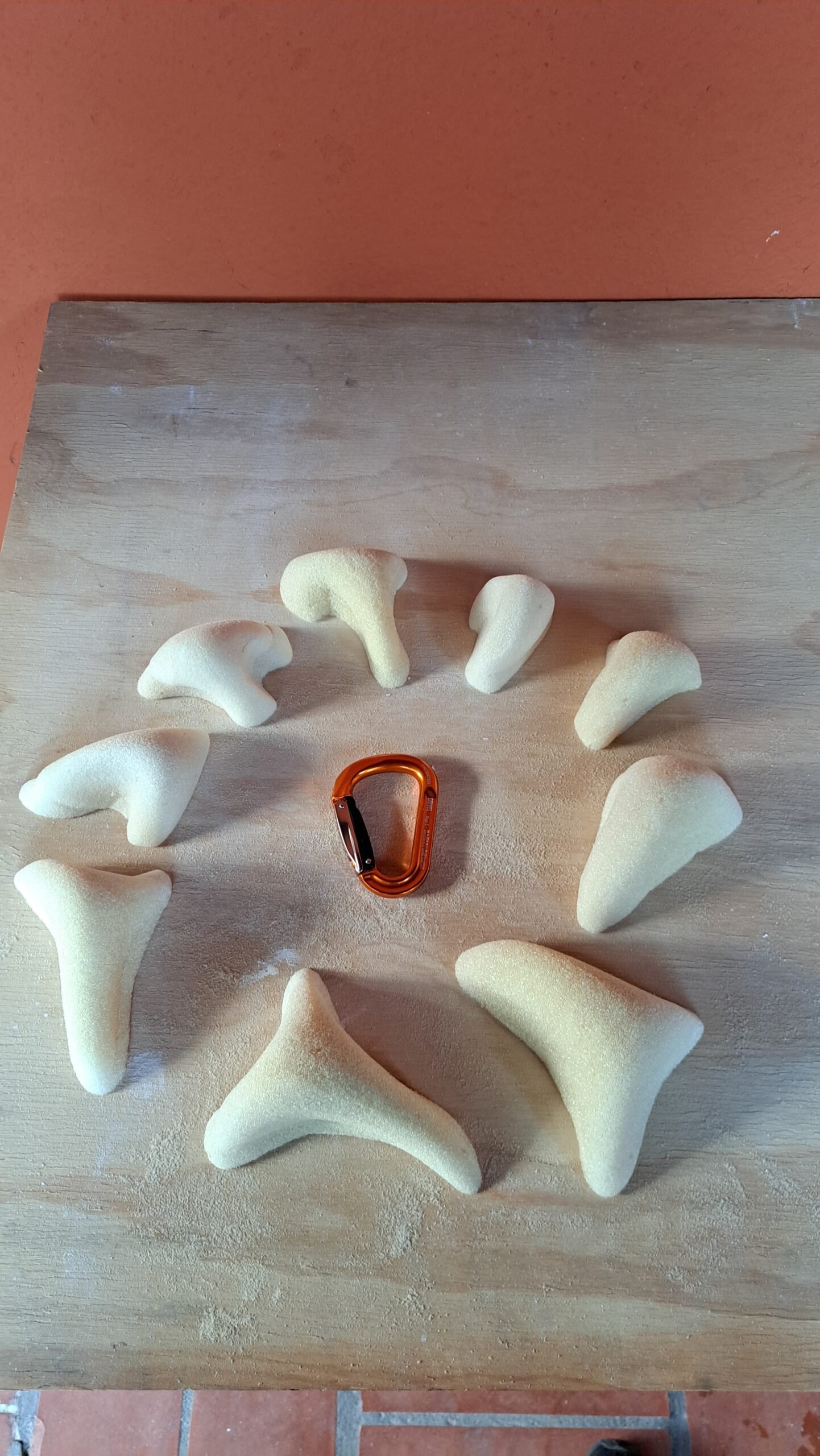 20260205 193731 scaled.jpg